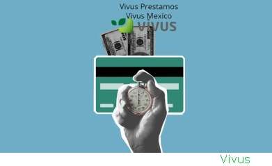 Vivus Fraccionar Pago